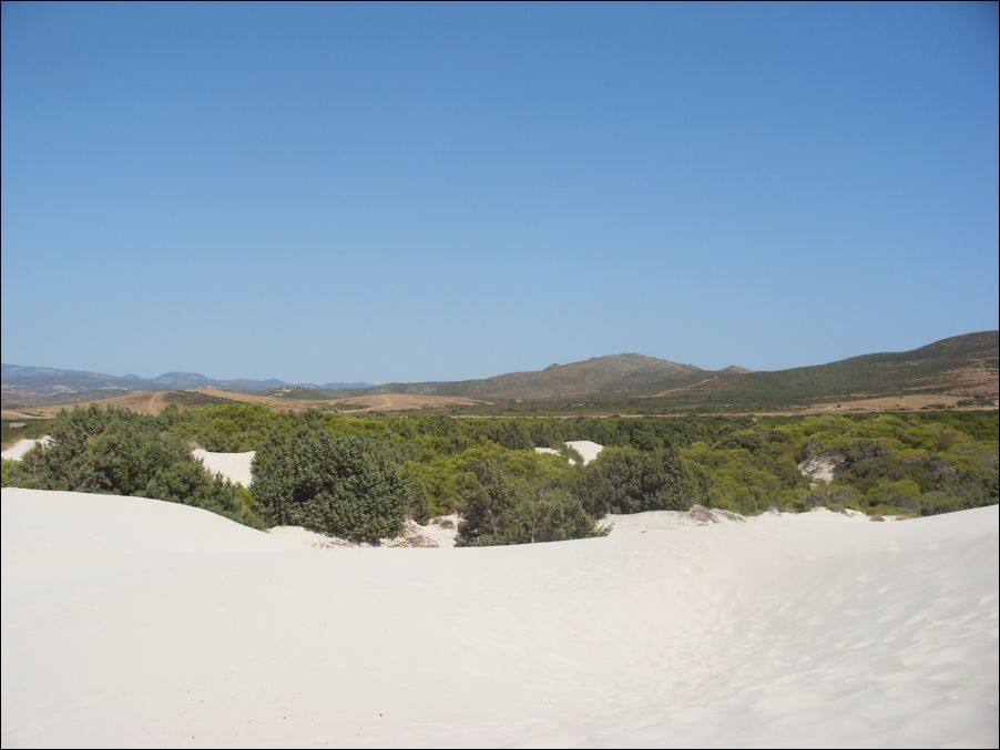 sardegna 2009 079